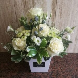 COMPOSIZIONE SU CIOTOLA 50 €